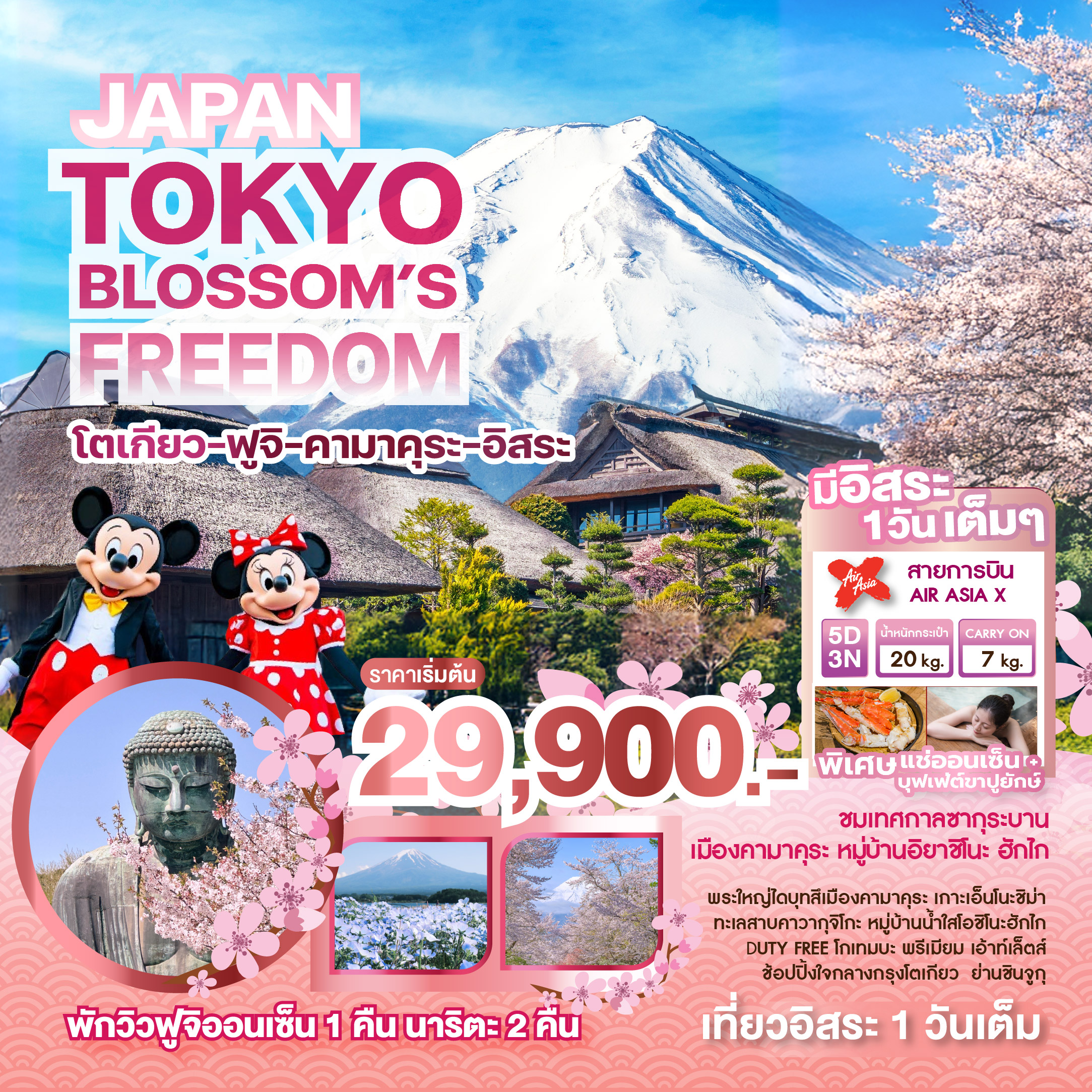 ทัวร์ญี่ปุ่น JAPAN TOKYO BLOSSOM'S FREEDOM 5วัน 3คืน (XJ)